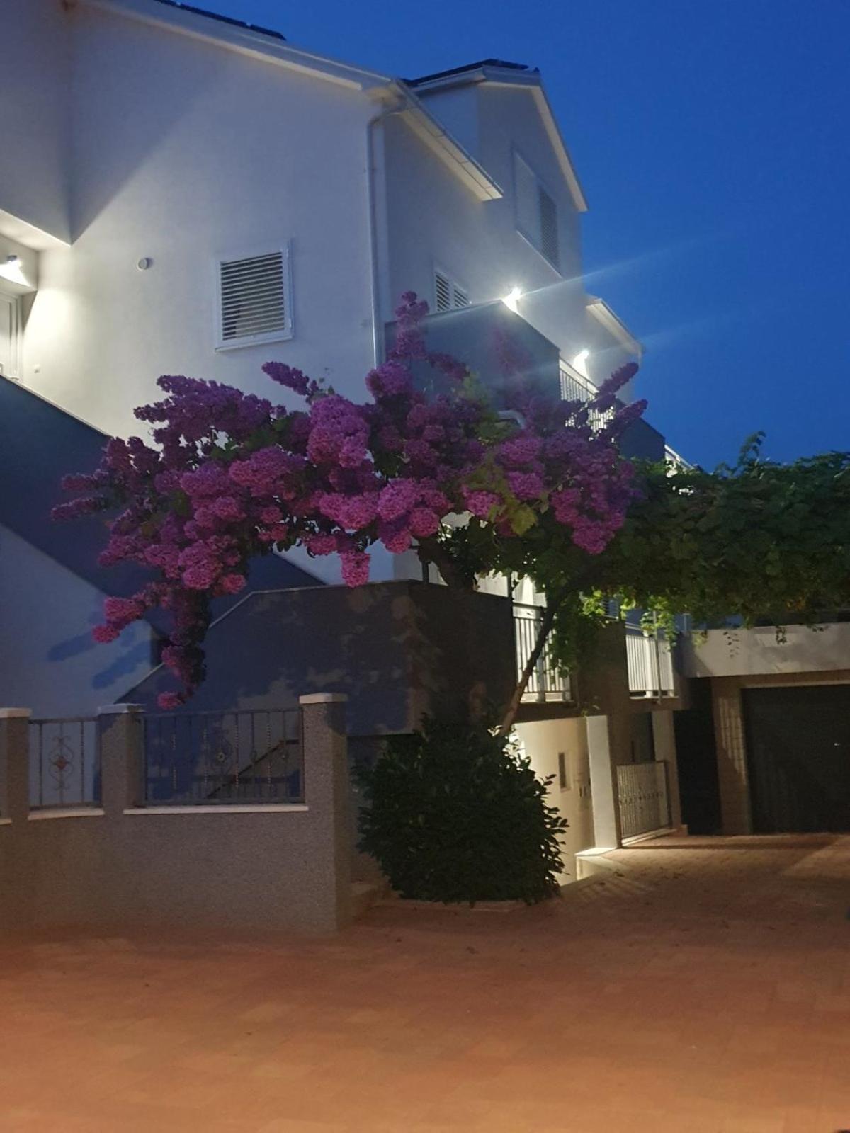 Apartment Bozovic Orebić Extérieur photo